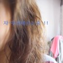 더블리치 Daum카페