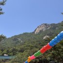 도선사 셔틀버스 타는 법과 점심 공양, 소원초 후기