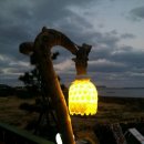 안버림연구소 이미지