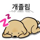 진흥식당 이미지