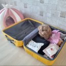 영심이살롱곰곰이호텔 이미지