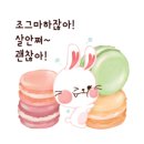 마카롱하우스 이미지