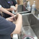 즐거운 애견미용 이미지