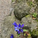 펜션무이 이미지