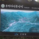 용현자연휴양림 이미지