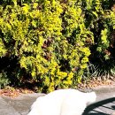 와우정사 | 용인 와우정사 직접 가본 현실 방문 후기