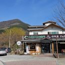 아우라지수리취떡 이미지