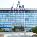 완도11호 이미지