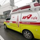 자동차 119 이미지