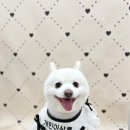 개린이살롱 이미지