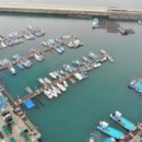 완도11호 이미지