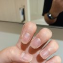 더가야에프앤비