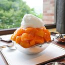 망고호텔 이미지