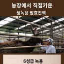 초미동길 이미지