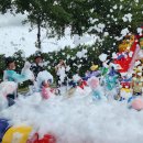 서산버드랜드 이미지