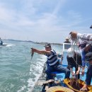 송현목장 이미지