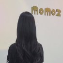 모모즈헤어&증모 이미지