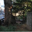 용산문화원정자 이미지