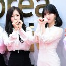 신비 카카오 검색결과