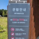 서기묘소 및 신도비 | (충남 아산) 산책 / 둘레길 및 이순신 역사가 담긴 곳 "충무공 이순신 장군 묘소" 방문 후기
