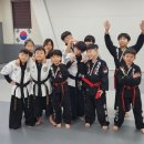 강철태권도체육관 이미지