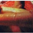 희망의 손 이미지