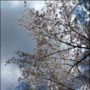 금잔디유치원 이미지