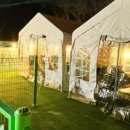 멍애견카페 이미지