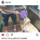 멍스타그램 이미지