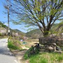 마동2리 이미지