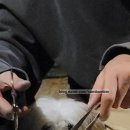곰섬휴게소 네이버블로그