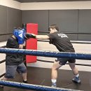 성남 탑 복싱 이미지