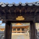 [대구 카페/묘운] ⭐️⭐️⭐️ 대구 근교 한옥 카페 추천
