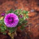 도움농장 이미지