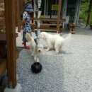 별무리 민박 이미지