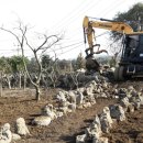 징검다리 민박 이미지