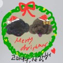 중원동로-1 | 진해 레터링 케이크 맛집, 6월 우리 주문 후기｜기념일 케이크 추천