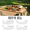 보은대추_달콤한 건강식 보은대추즙