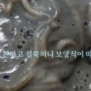 솔재해물칼국수 이미지