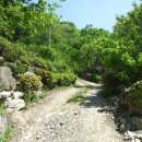 가족소풍펜션 이미지