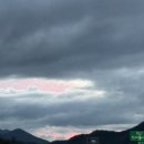 적상산로 | 무주반딧불축제 반디 빛의 향연, 낙하놀이 시간, 반딧불이 서식지 후기