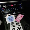 쌍둥이세차장 | 초보운전 스티커, 아내의 운전연수를 위한 디자인소이 자석스티커 후기 (회색차에 찰떡!)