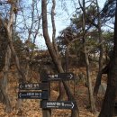 돌산배드민턴장(숲길) Daum카페