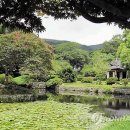 진도 운림산방 이미지