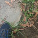 시립미술관(운암제) 이미지