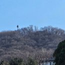 우면산 (범바위 정자 옆) | 초보도 오를 수 있는 우면산 등산, 소망탑 전망대