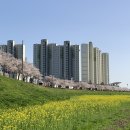 신기강변로 이미지