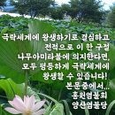 염불인이 응당 가져야 할 기본관념과 마음가짐/혜정법사 강의 / 정전스님 번역 이미지