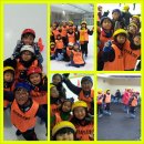 용인대노원태권도체육관 이미지