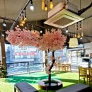 안경백화점 터미널점 이미지